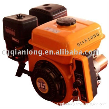 Gasoline engine